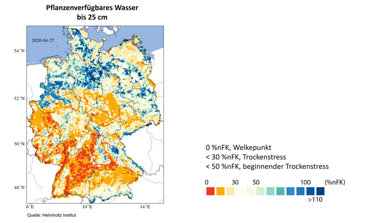 Pflanzenverfügbares Wasser 25 cm