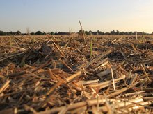 Stoppelbearbeitung: Beste Voraussetzungen für die Folgekultur