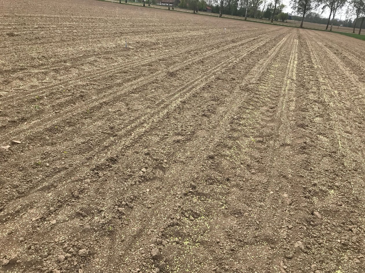 Muss ALZON® neo-N sofort eingearbeitet werden?