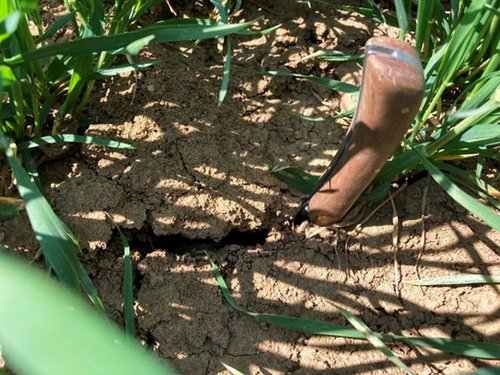 Unterschiedliche Wetterextreme: Trockenheit