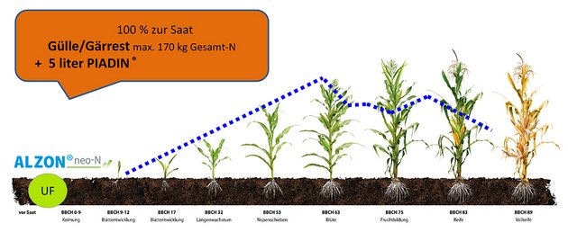 Stickstoffdüngung Gülle und PIADIN®