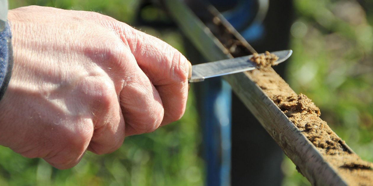 Rote Gebiete, Bedarfsermittlung, Nmin-Probenahme und Bodenfeuchte – den Saisonstart genau im Blick haben