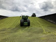 Maissilo wird verdichtet