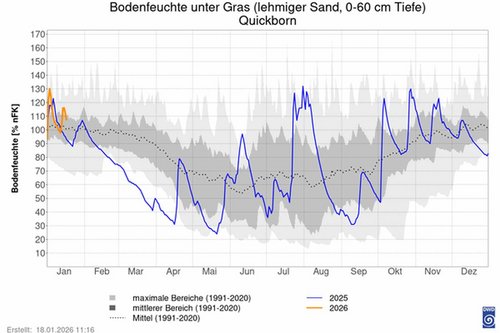 Bodenfeuchte unter Gras in Quickborn, Quelle: DWD