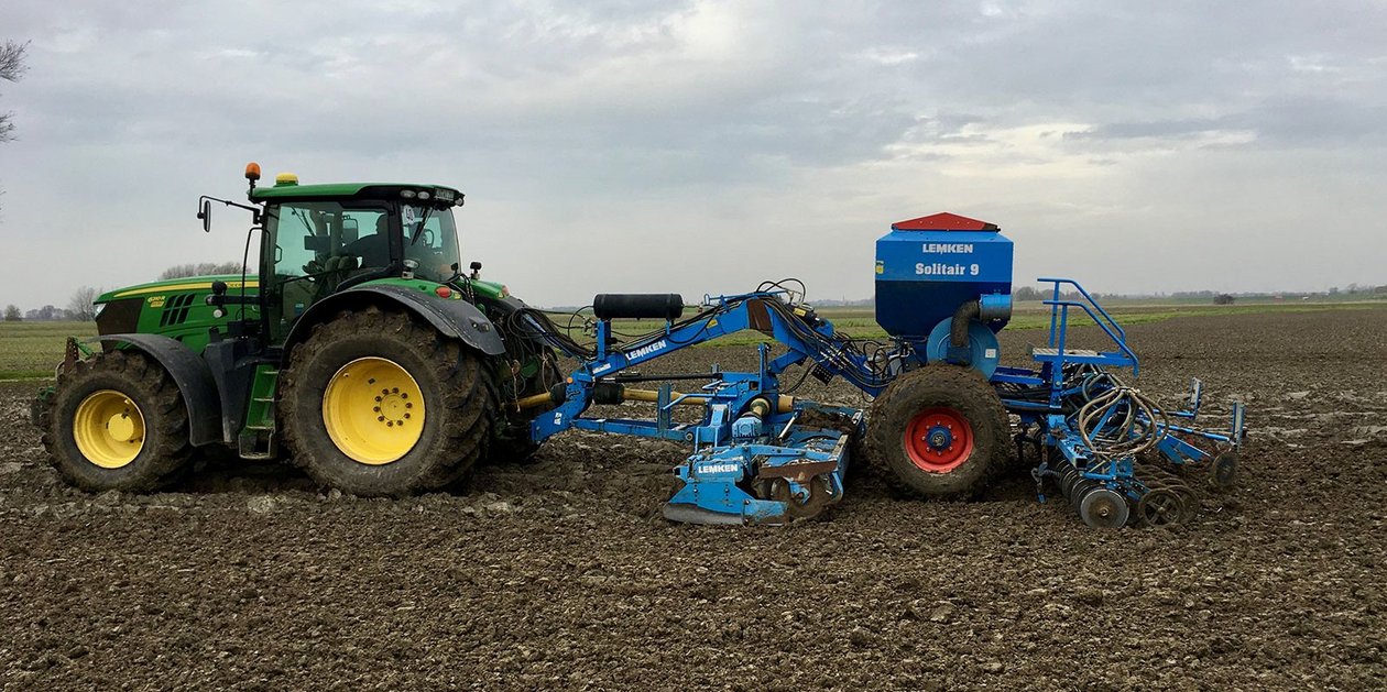 Spätsaat in der Marsch