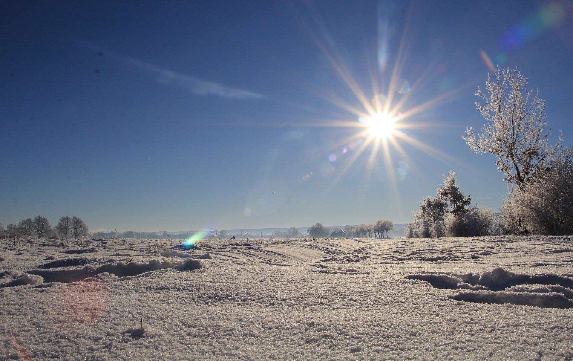 Endspurt auf Hof und Feld – Was 2025 unbedingt noch erledigt werden muss