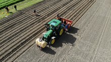 PotatoEurope 2018 – mit ALZON® neo-N gelingt auch die Kartoffeldüngung