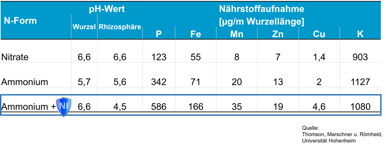 Nährstoffaufnahme im Vergleich