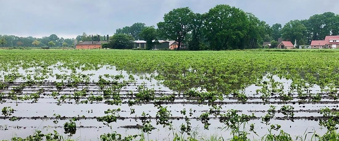 Effizientes Wassermanagement 