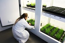 Düngemittelforschung im Winter