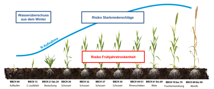 Herausforderungen bei der Stickstoffdüngung
