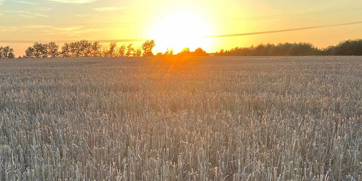 Strohmanagement und Bodenbearbeitung Strohmanagement und Bodenbearbeitung