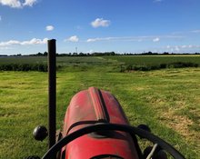 Porsche im Grünland