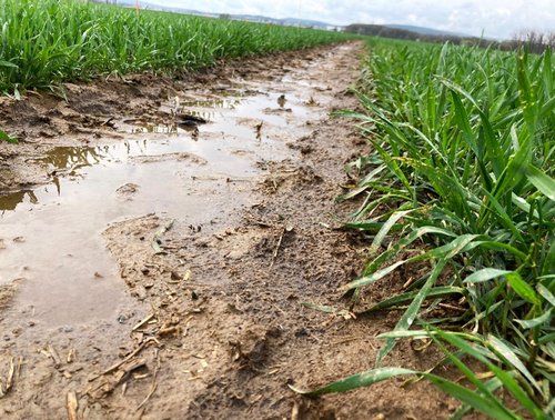 Unterschiedliche Wetterextreme: Starkniederschlag