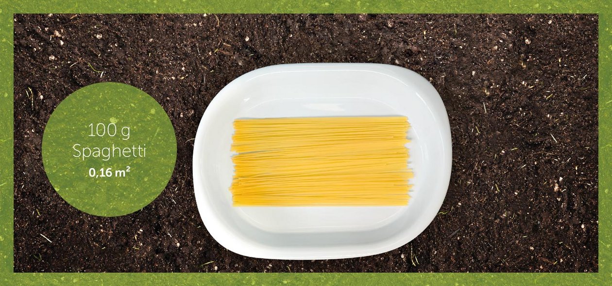 Für die Herstellung von 100 g Spaghetti sind 0,16 m² Ackerland notwendig Spaghetti auf Teller