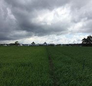 Stickstoff und Schwefel