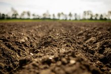 Mit Kalk und Humus den Boden fit machen