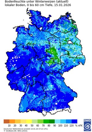Bodenfeuchte unter Winterweizen (aktuell), Quelle: DWD