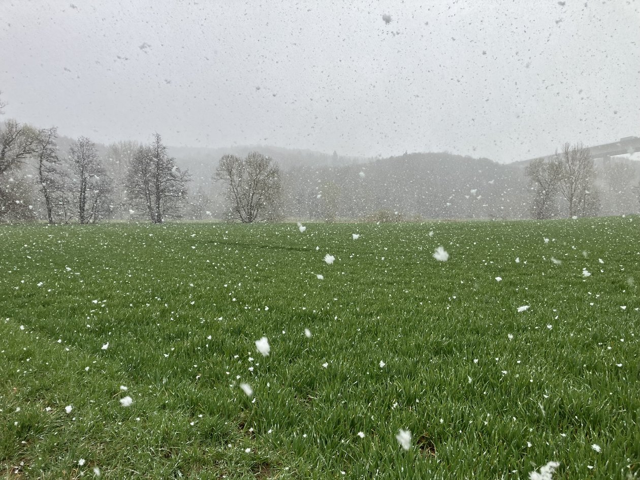 Schneefall am 26. März