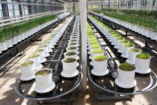 Stickstoff und Schwefel – Win-win-Situation bei der Düngung