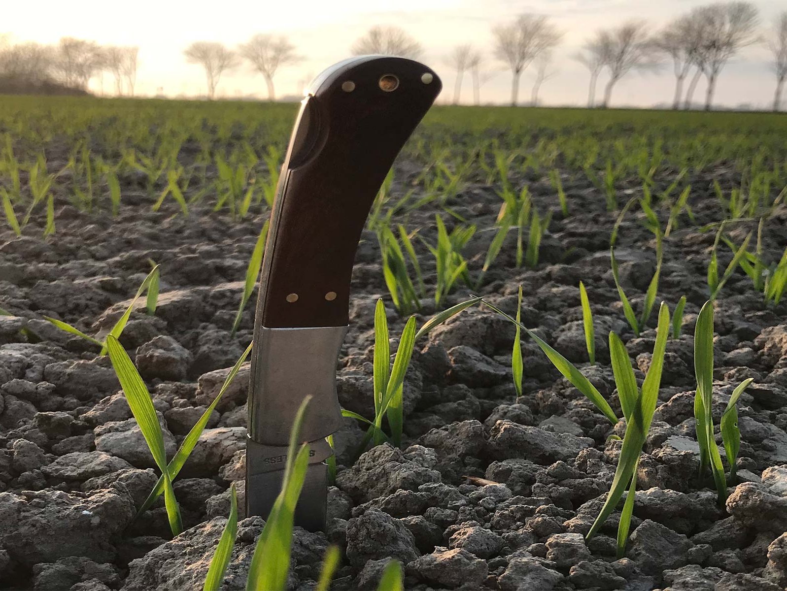 Ackerbaustrategie 2035 – verbietet die Landwirtschaft sich selbst?