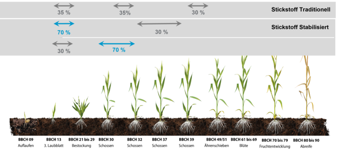 Düngeempfehlung Getreide
