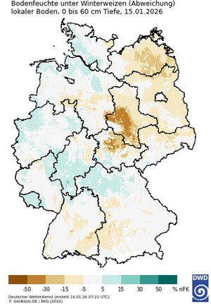 Bodenfeuchte unter Winterweizen (Abweichung), Quelle: DWD