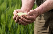 Düngerqualität Harnstoff und Flüssigdünger – nach der Ernte ist vor der Ernte