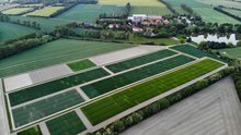 Luftbild der Felder in Cunnersdorf