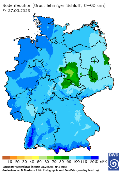 DWD nFK schwerer Boden