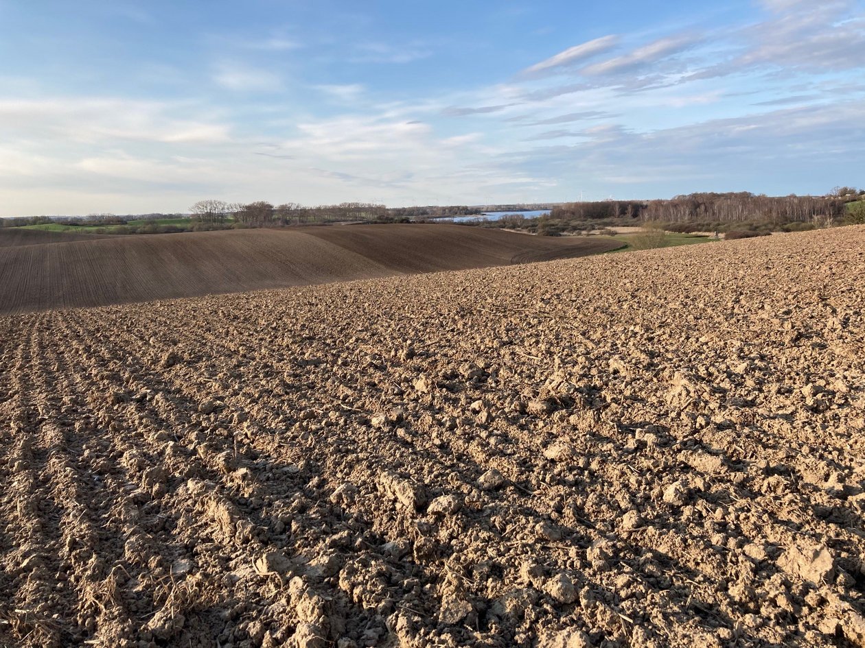 Vorbereitung Maisaussaat