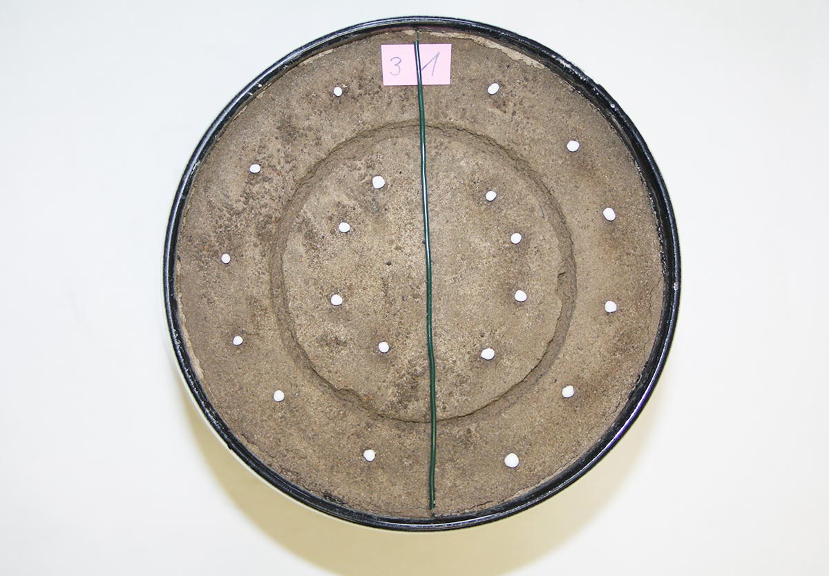 Test des Auflöseverhaltens von Granalien verschiedener Prüfdünger