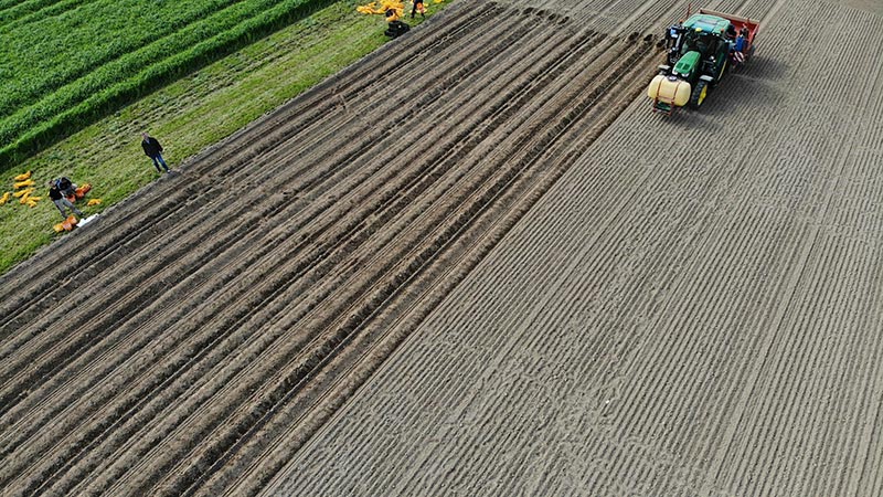 Priorität haben die Demoparzellen. In der vergangenen Woche hat auf diesen die Pflanzung der Kartoffeln stattgefunden. Priorität haben die Demoparzellen. In der vergangenen Woche hat auf diesen die Pflanzung der Kartoffeln stattgefunden.