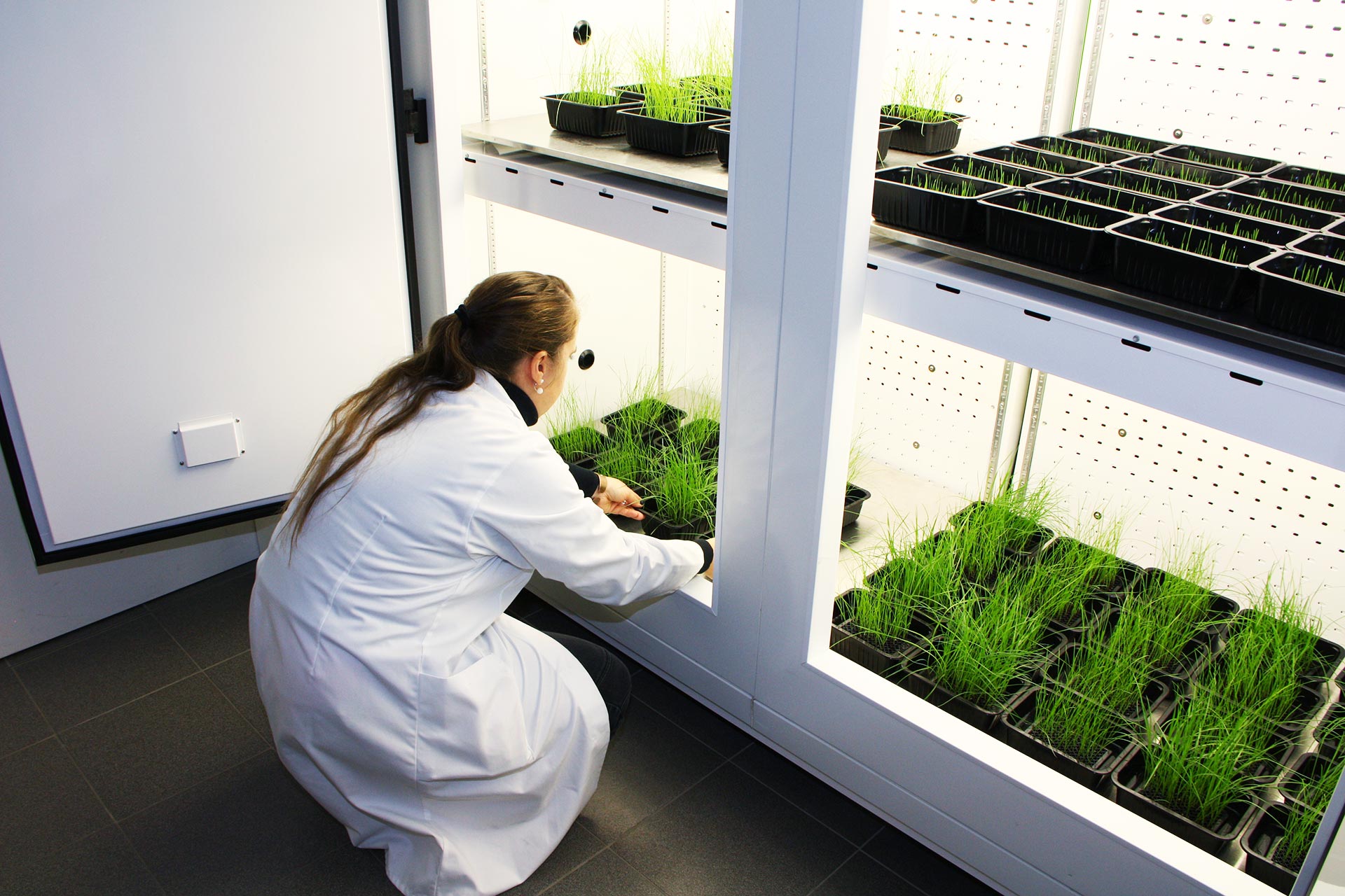 Düngemittelforschung im Winter