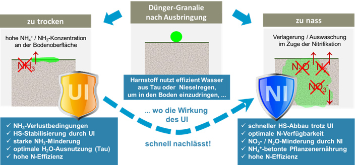 Grafik: Ureaseinhibitor (UI) und Nitrifikationsinhibitor (NI) – Unterschiede und Zusammenspiel Grafik: Ureaseinhibitor (UI) und Nitrifikationsinhibitor (NI) – Unterschiede und Zusammenspiel
