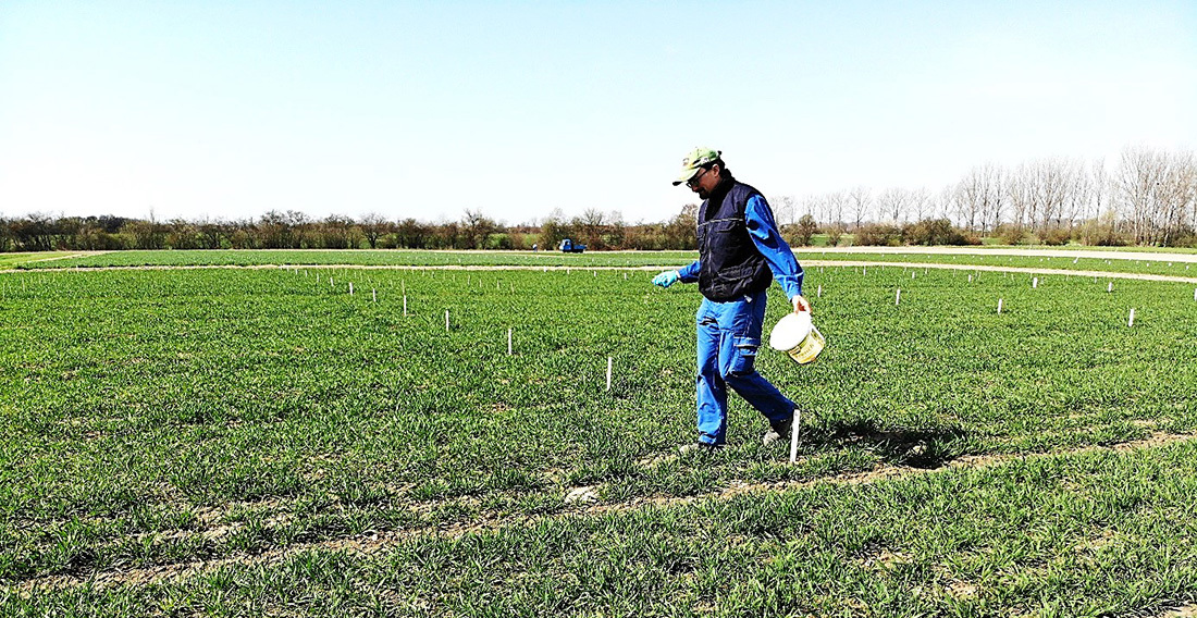 Parzellendüngerverteilung