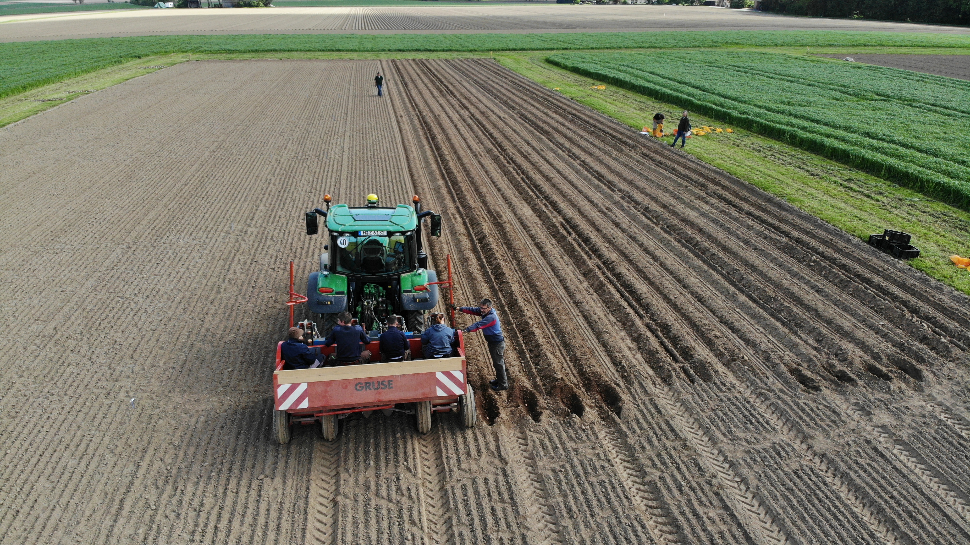 Kartoffelanbau – Worauf kommt es bei der Düngung an?