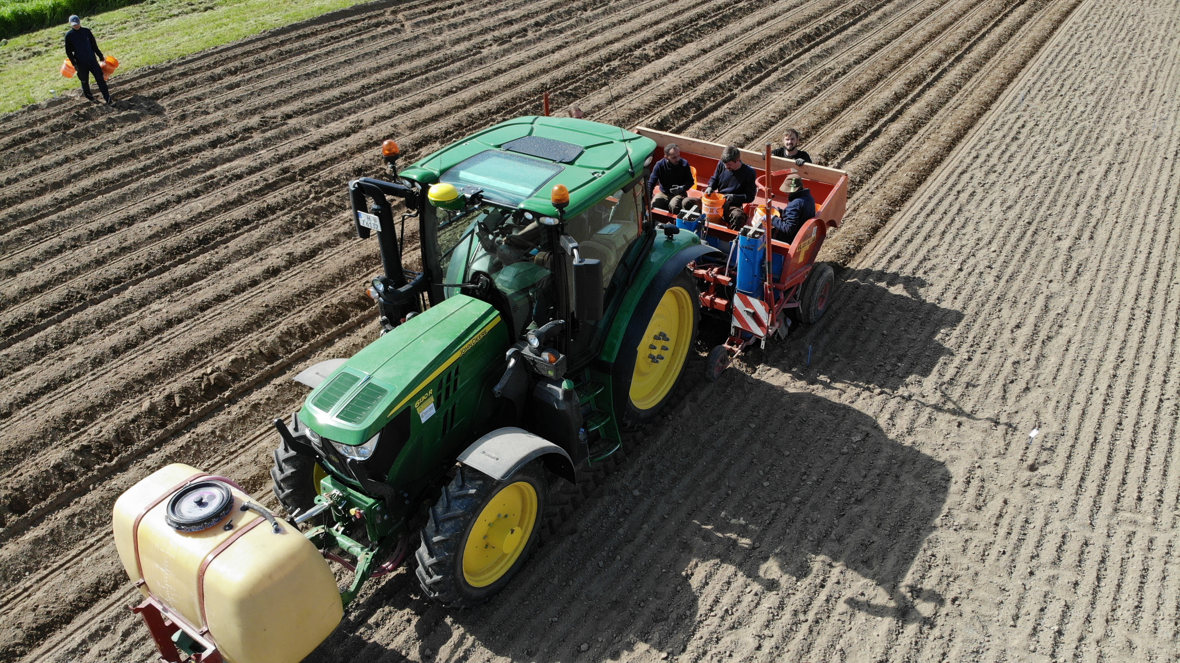 Kartoffelanbau – Worauf kommt es bei der Düngung an?