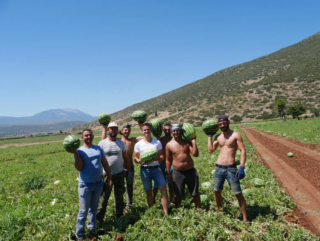 Ich mit albanischen Ernetarbeitern auf dem Melonenfeld.
