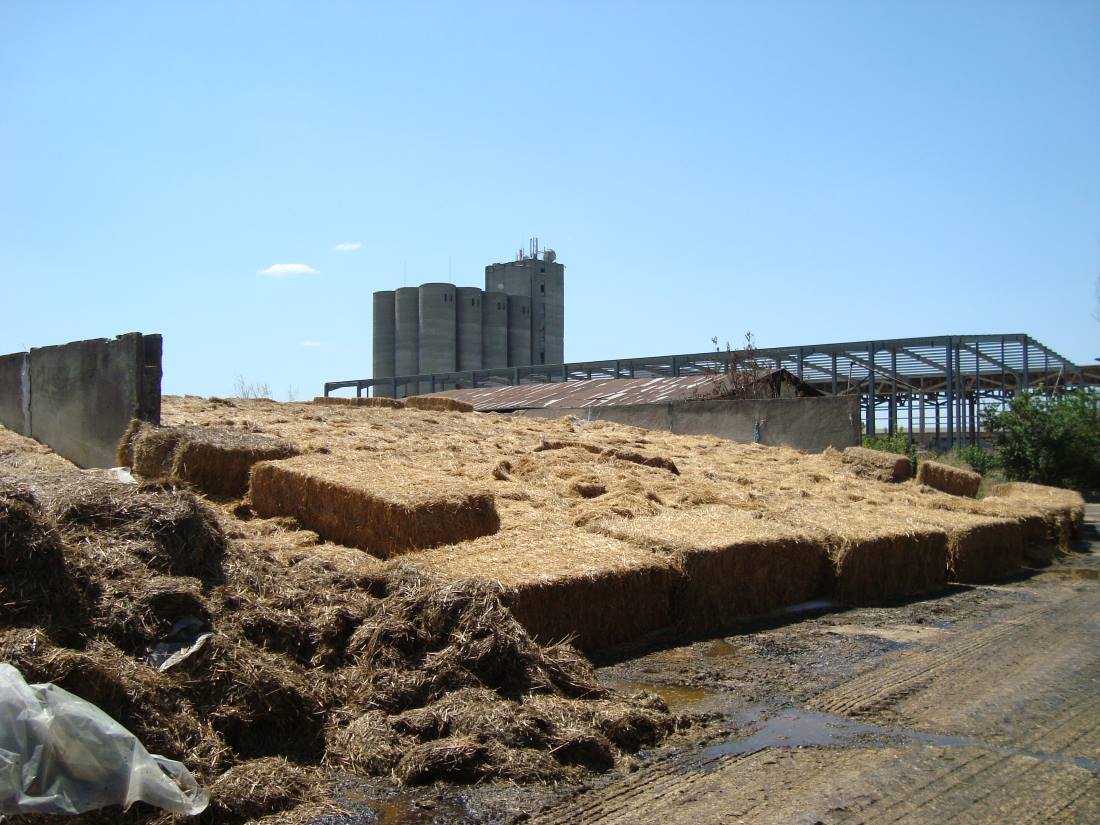 Die Silos werden mit Stroh zugedeckt, darunter natürlich eine Folie.