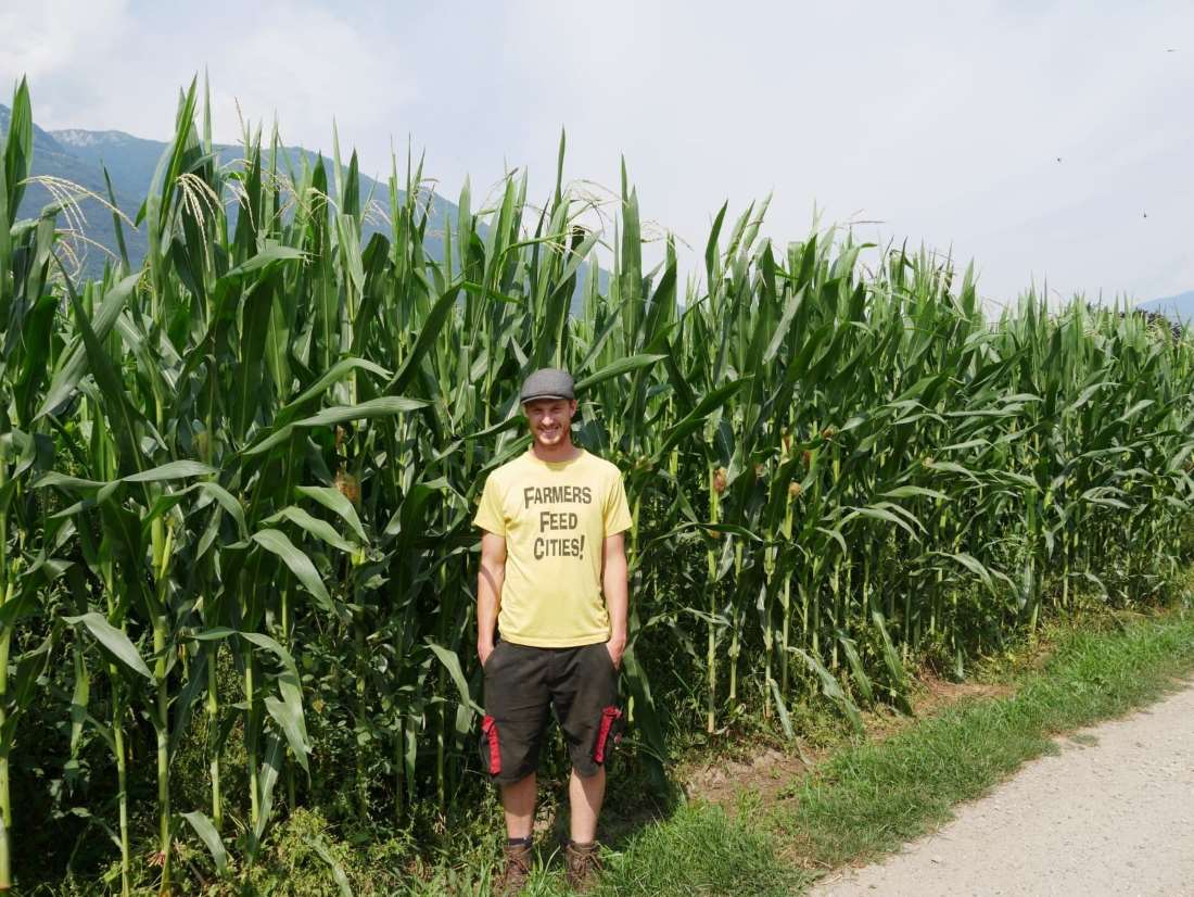 Adrian Feitknecht vor seinem Bio-Mais.