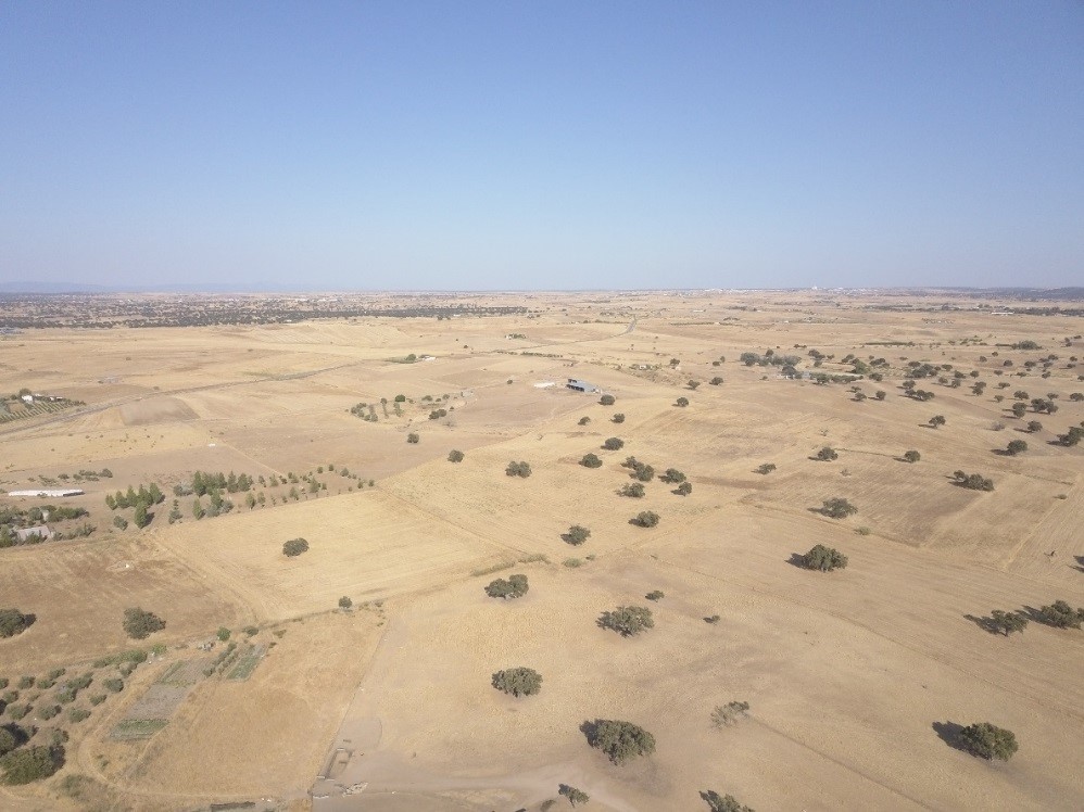 "Typisches Bild" der landwirtschaftlich bewirtschafteten Flächen "Typisches Bild" der landwirtschaftlich bewirtschafteten Flächen
