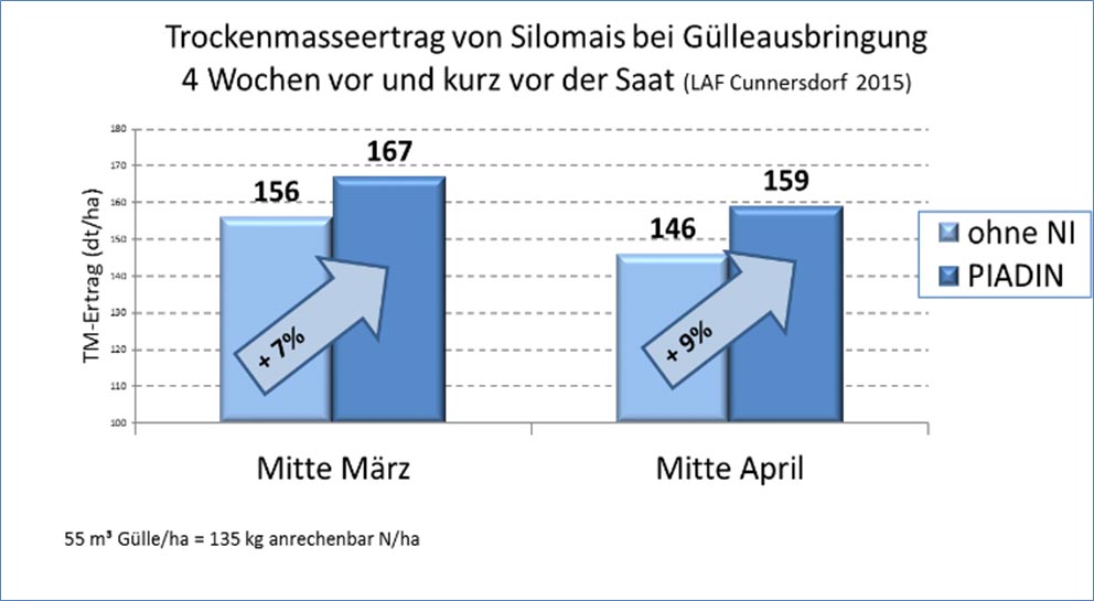 Mehrerträge durch die PIADIN®-Anwendung zu Silomais zu verschiedenen Zeitpunkten. Mehrerträge durch die PIADIN®-Anwendung zu Silomais zu verschiedenen Zeitpunkten.