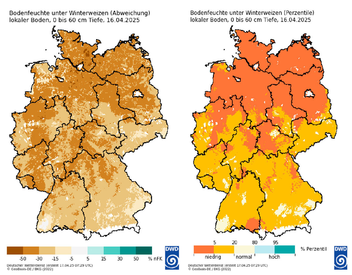 Bodenfeuchte unter Winterweizen Abweichung zum langjährigen Mittel