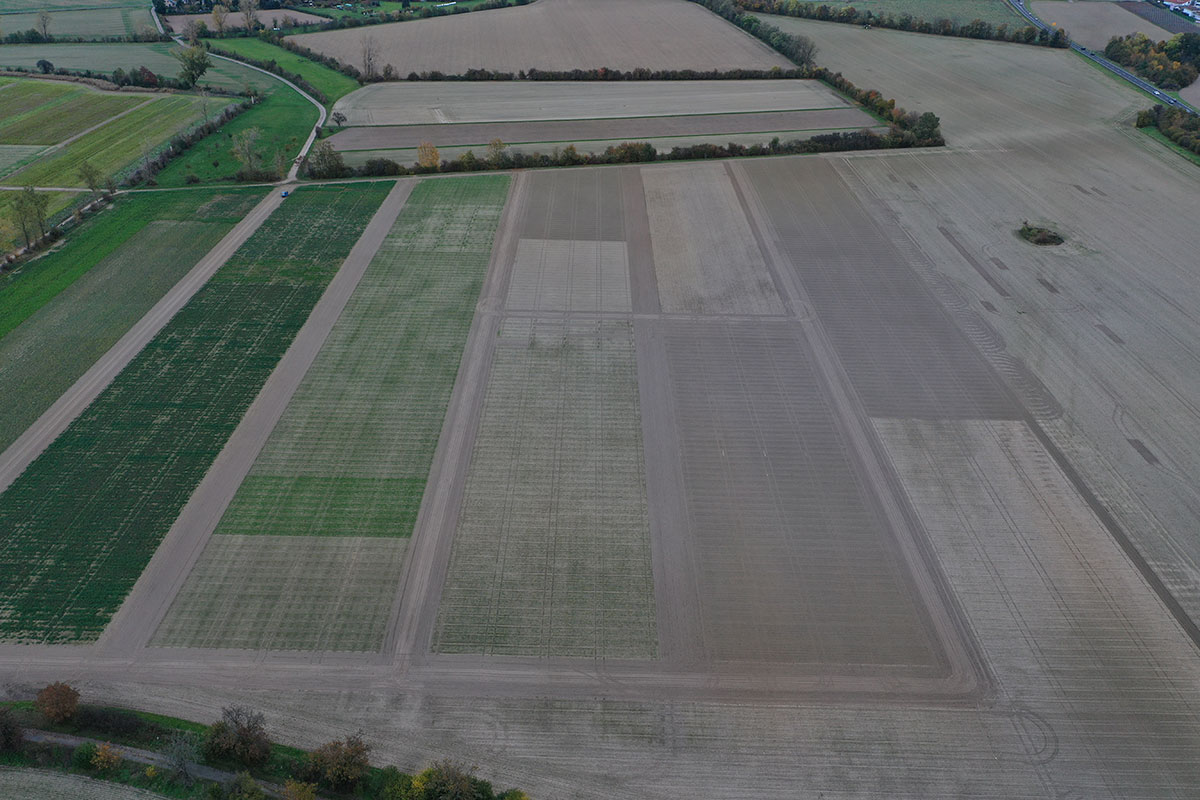 Erste Maßnahmen wurden und werden in den Kulturen durchgeführt, um auch im kommenden Jahr wieder spannende Ergebnisse zu erhalten.